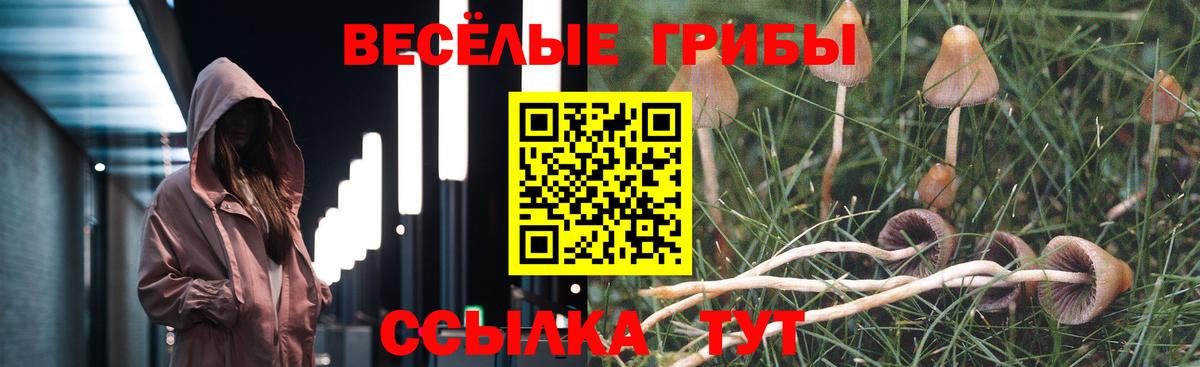 Галлюциногенные грибы Magic Shrooms  Галлюциногенные грибы мицелий  Вход с VPN  где можно купить наркотик  Заволжье 